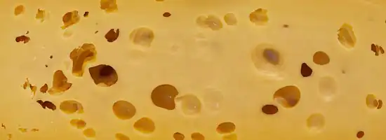 imagen de un queso visto de cerca